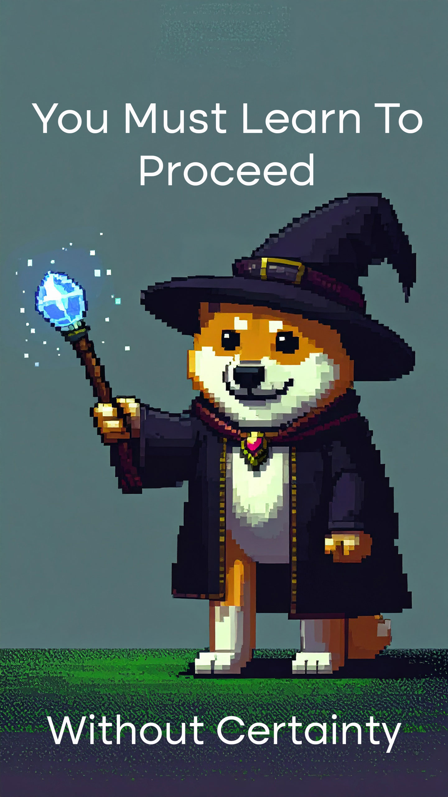 You Must Learn To Proceed Without Certainty NFT